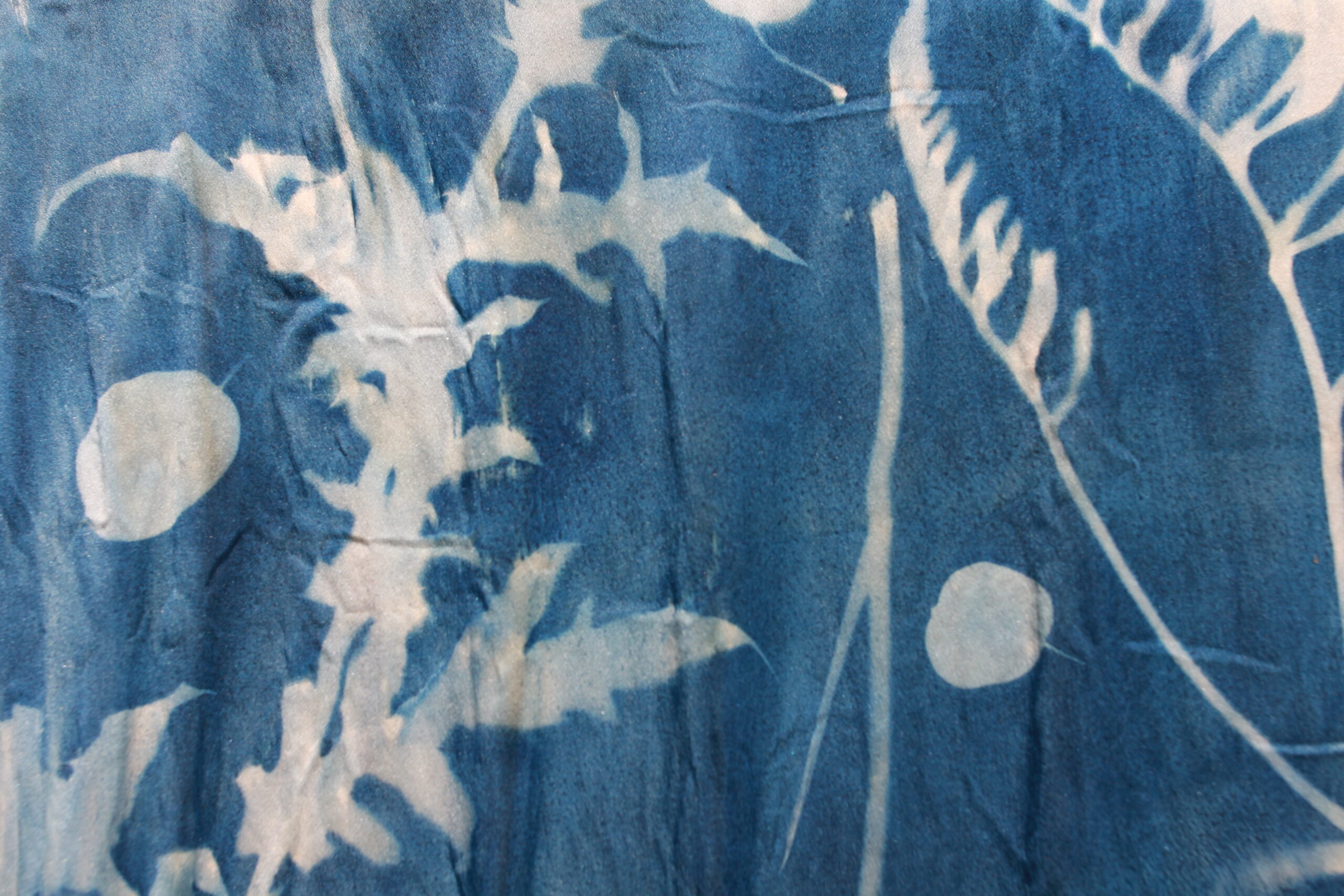 Fun with Cyanotype