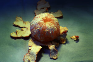 Still life of an Orange